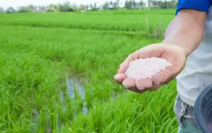 Affordable Fertilizers for Small Farms