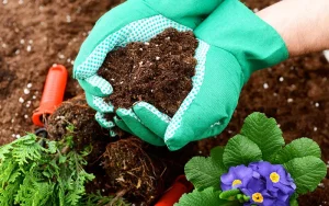 How to choose the right fertilizer for your soil