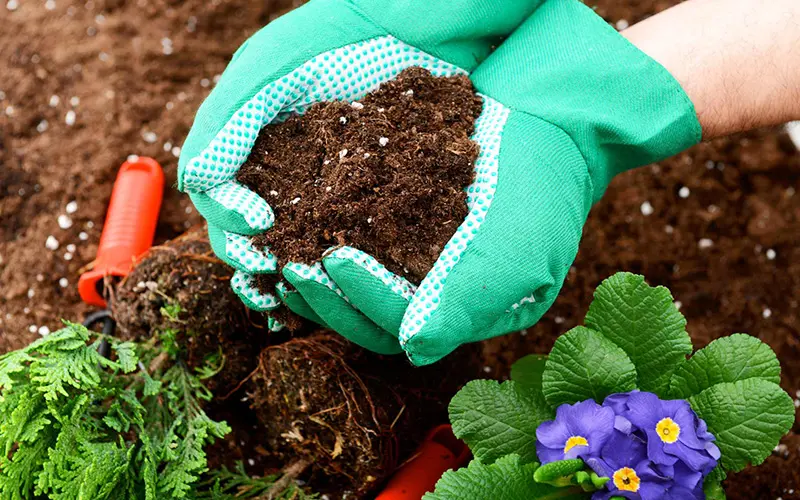 How to choose the right fertilizer for your soil