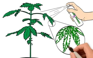 Foliar vs. Root Application