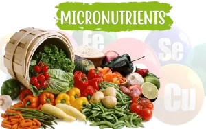 Micronutrients in Agriculture